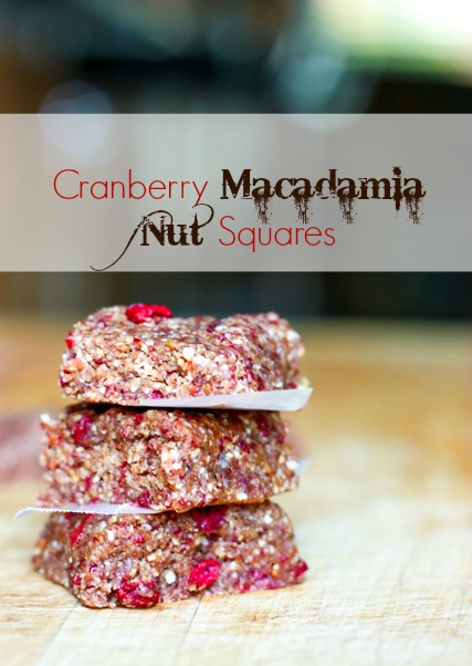 Cranberry Macadamia Nut Energy Bars