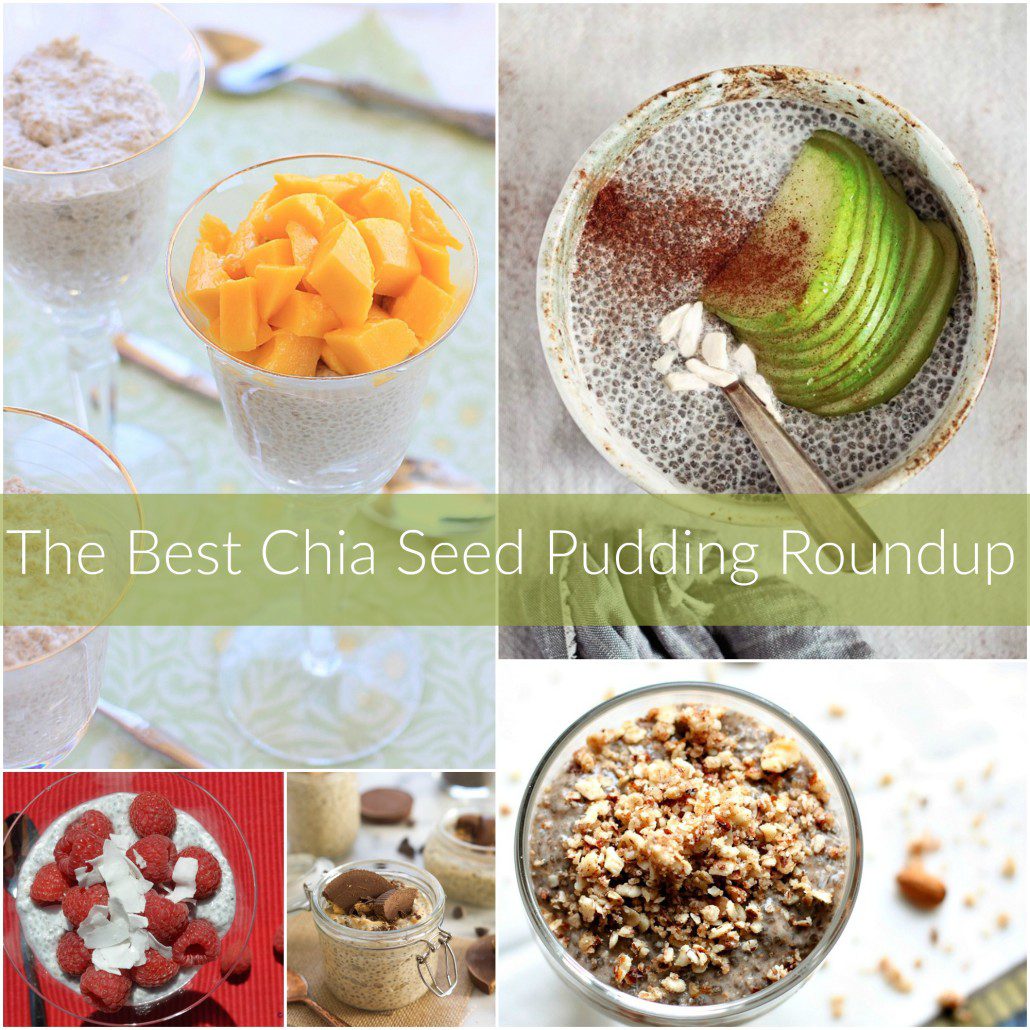 The best chia seed pudding roundup. Healthy recipes for snacks or on the go breakfast! 