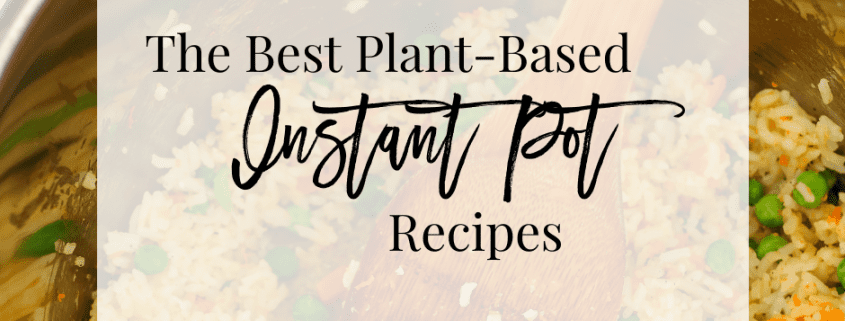 Instant pot discount recipes for winter