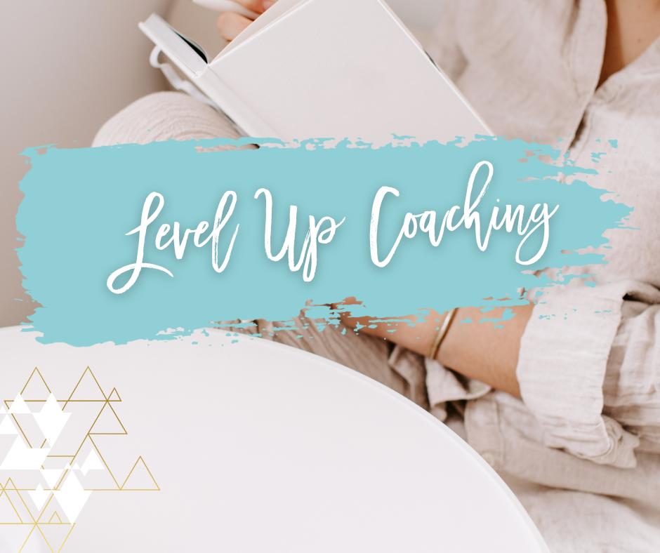 level up accountability coaching